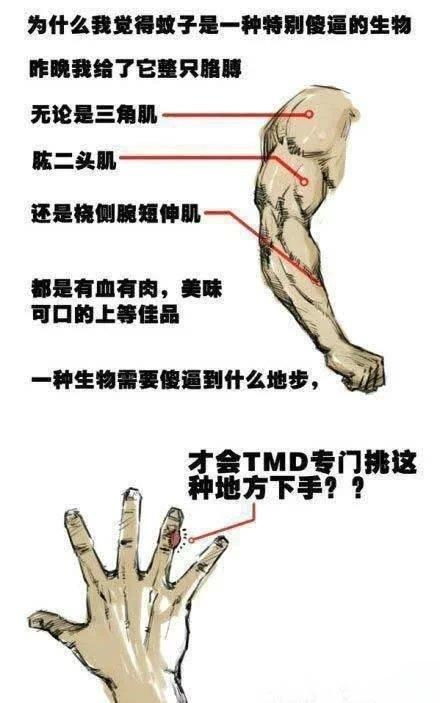蚊子真是渣到不行 蚊子真是渣到不行