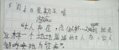 小学生日记之花痴