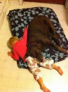 真舒服，人肉靠垫呢