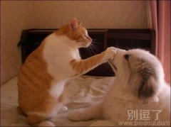 嘘外面有人,小声点 嘘外面有人,小声点