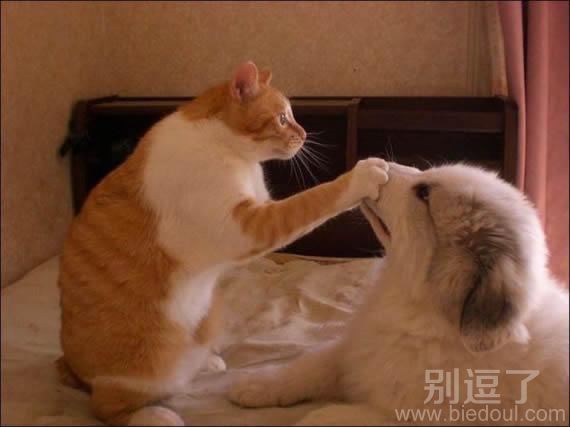 嘘外面有人,小声点 嘘外面有人,小声点