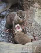 啊救我，这是哪里，我是谁