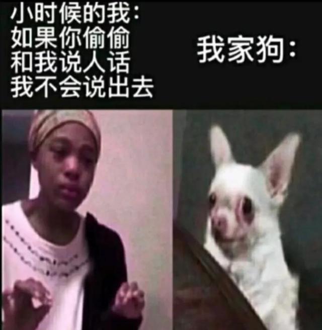 吃饭时不能看的搞笑图片第十五弹