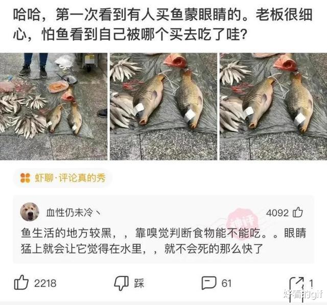 “大姐这造型,是轮胎套上裙子了吗?感觉裙子不能背锅!”哈哈哈 “大姐这造型,是轮胎套上裙子了吗?感觉裙子不能背锅!”哈哈哈