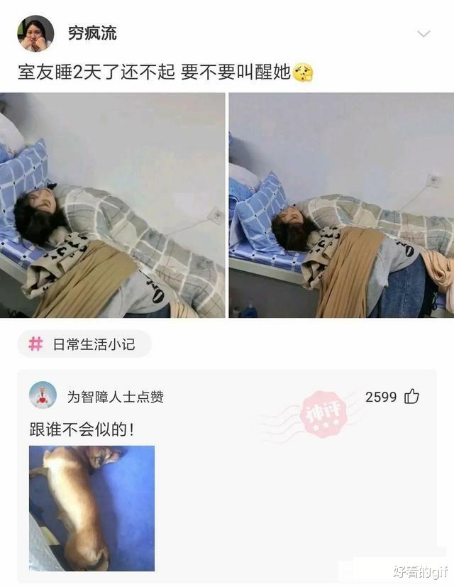 神回复：这只蝉死了得有两三年了，我爸也不扔，没什么细菌吧