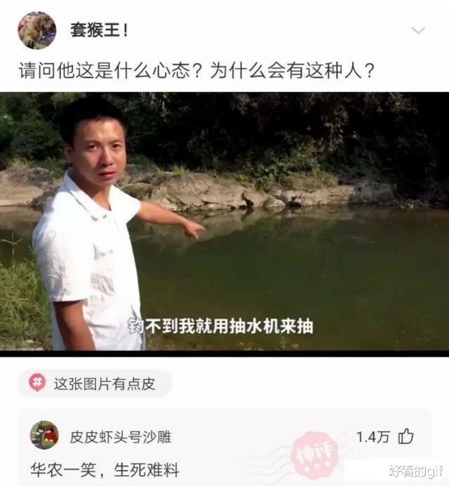 神回复：这只蝉死了得有两三年了，我爸也不扔，没什么细菌吧