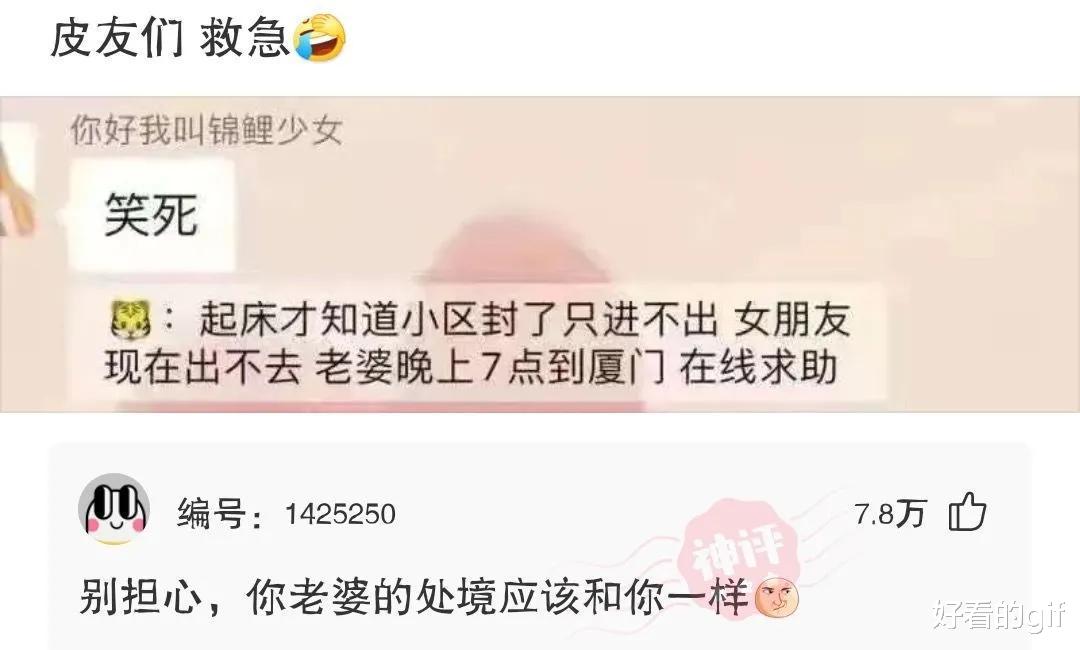 神回复:这只蝉死了得有两三年了,我爸也不扔,没什么细菌吧 神回复:这只蝉死了得有两三年了,我爸也不扔,没什么细菌吧