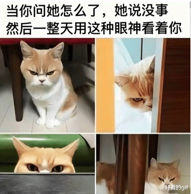 神回复:为什么嫖娼是违法行为,而包养小三却是道德问题? 神回复:为什么嫖娼是违法行为,而包养小三却是道德问题?