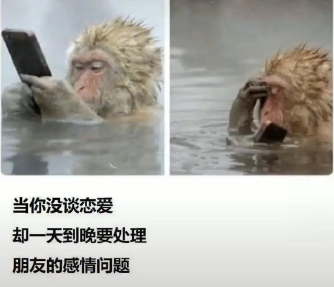 “陪我一晚,阿姨给你买AJ!”哈哈哈哈哈!阿姨这次也怂了... “陪我一晚,阿姨给你买AJ!”哈哈哈哈哈!阿姨这次也怂了...