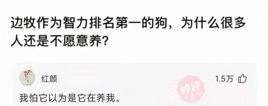 “陪我一晚,阿姨给你买AJ!”哈哈哈哈哈!阿姨这次也怂了... “陪我一晚,阿姨给你买AJ!”哈哈哈哈哈!阿姨这次也怂了...