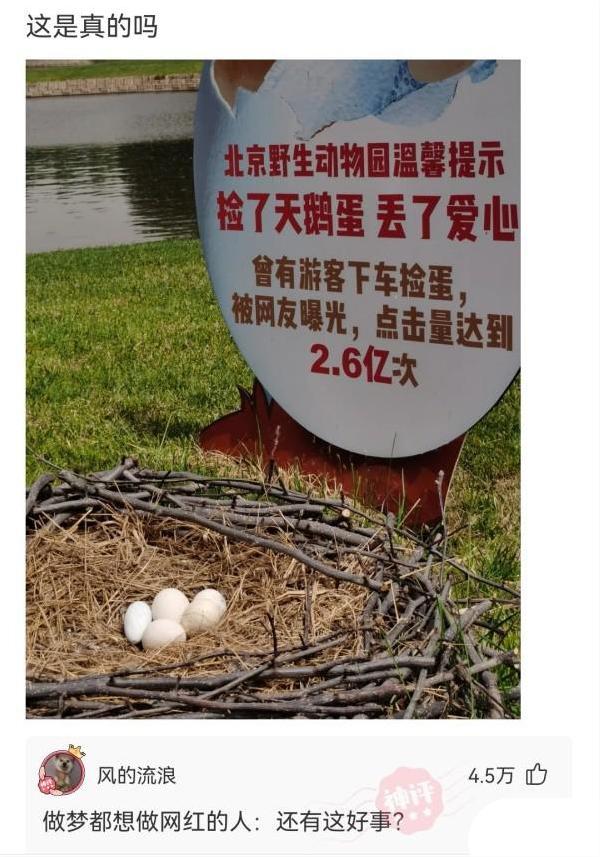 看了兄弟的婚纱照,再看看旁边的伴娘,突然感觉哪里不对劲 看了兄弟的婚纱照,再看看旁边的伴娘,突然感觉哪里不对劲