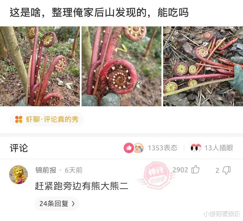 小姨子买了新电脑,把旧的卖给我家用,打开后感觉太值了 小姨子买了新电脑,把旧的卖给我家用,打开后感觉太值了