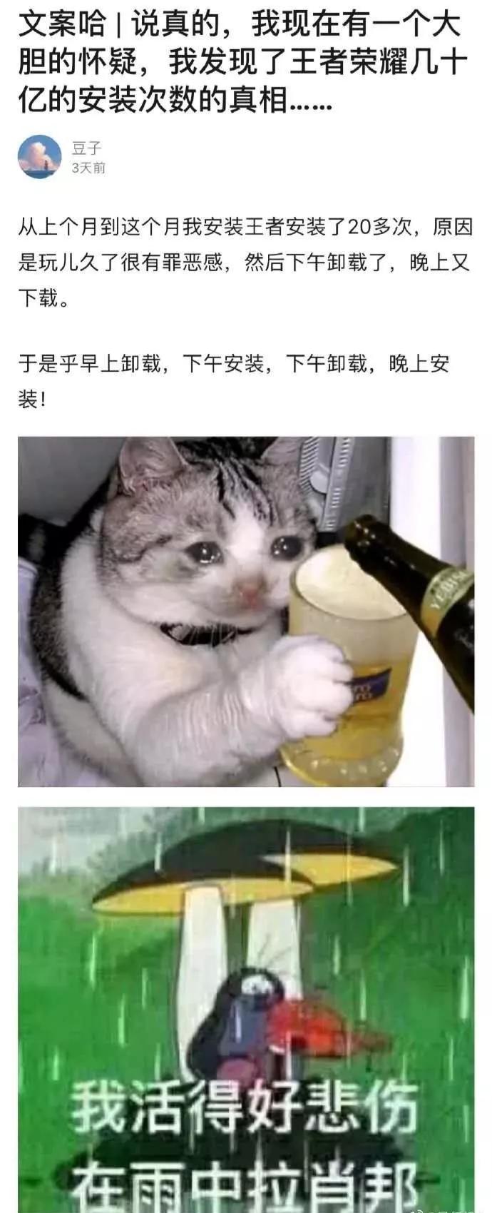 花了200多块买的,准备洗个澡出来吃,结果被我妈炒了,欲哭无泪 花了200多块买的,准备洗个澡出来吃,结果被我妈炒了,欲哭无泪