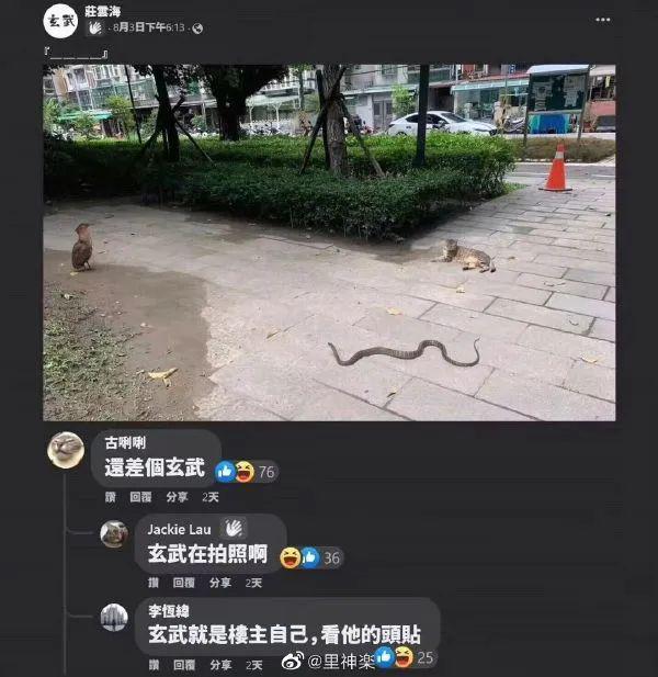 开开心心的睡觉才叫睡觉 开开心心的睡觉才叫睡觉