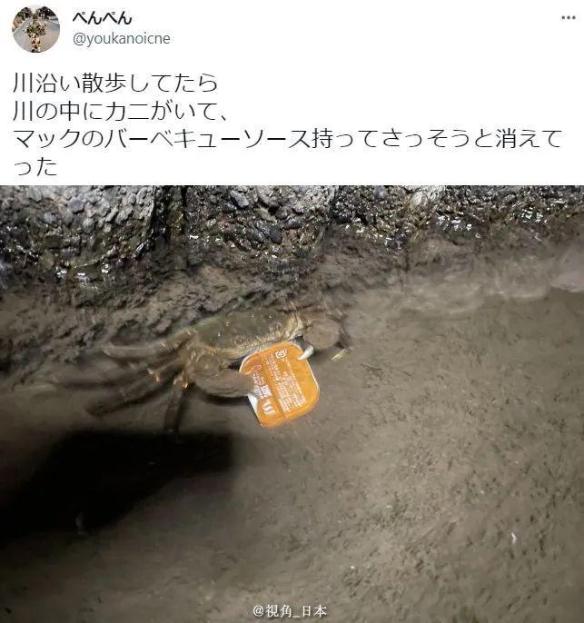 开开心心的睡觉才叫睡觉 开开心心的睡觉才叫睡觉