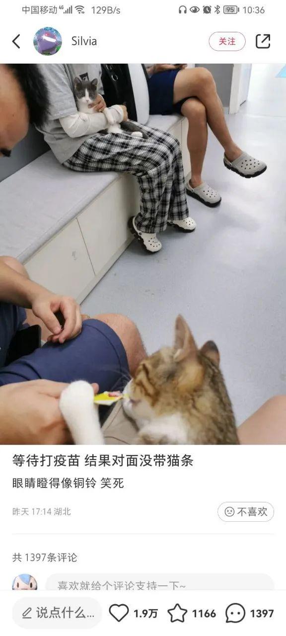 开开心心的睡觉才叫睡觉 开开心心的睡觉才叫睡觉