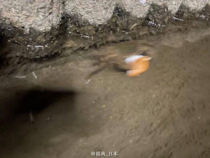 开开心心的睡觉才叫睡觉 开开心心的睡觉才叫睡觉