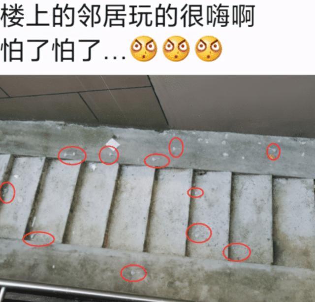 “楼上的情侣玩得很嗨啊,东西都丢一地了!”哈哈哈哈哈...评论区给我解惑了! “楼上的情侣玩得很嗨啊,东西都丢一地了!”哈哈哈哈哈...评论区给我解惑了!