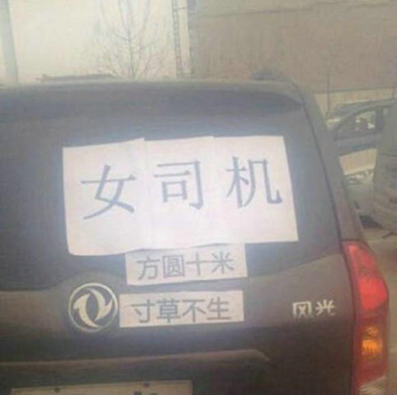霸气的女司机
