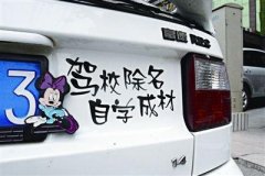 搞笑车贴：驾校除名，自学成才！