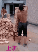 数了数这1次能搬20多块