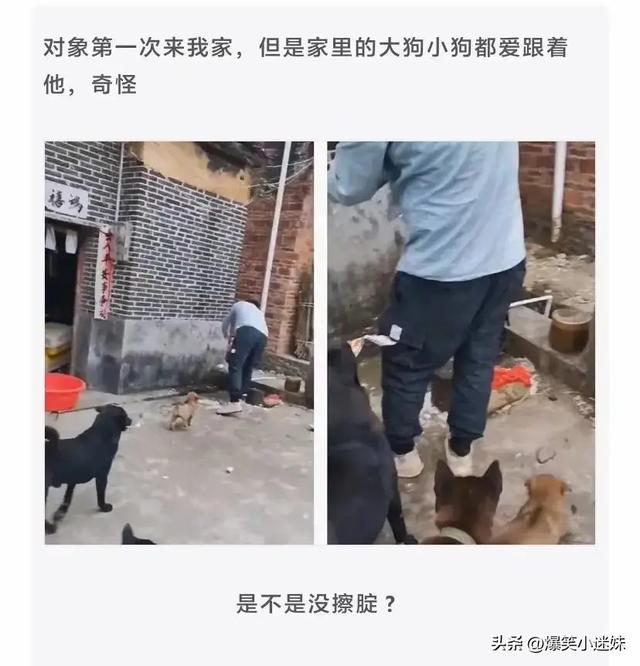 笑死了，偷喝了一口爷爷泡的酒，感觉晕晕的？哈哈哈，可以抬走了