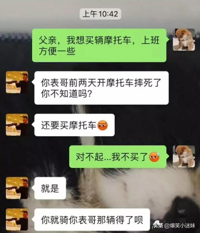 笑死了,偷喝了一口爷爷泡的酒,感觉晕晕的?哈哈哈,可以抬走了 笑死了,偷喝了一口爷爷泡的酒,感觉晕晕的?哈哈哈,可以抬走了