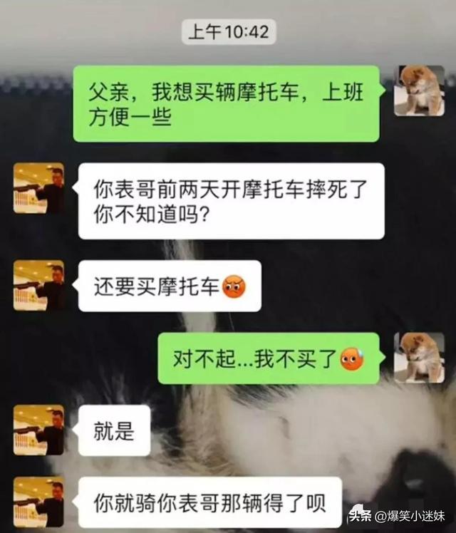 笑死了，偷喝了一口爷爷泡的酒，感觉晕晕的？哈哈哈，可以抬走了