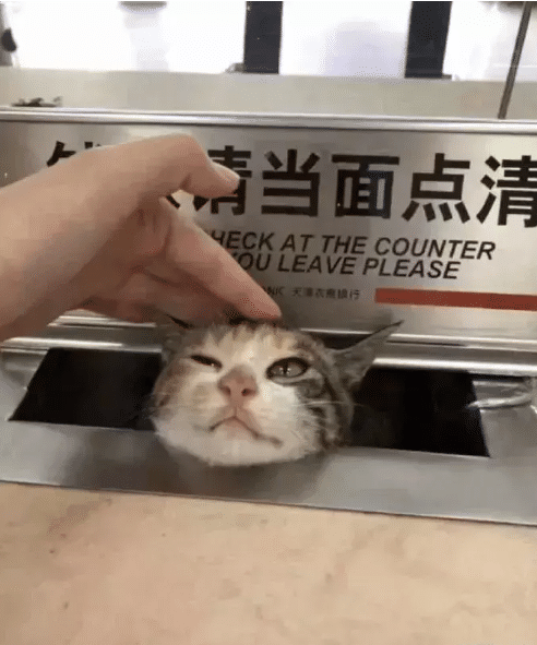 “千万不要随便发朋友圈,你永远不知道下一秒会发生什么...”哇哈哈哈~ “千万不要随便发朋友圈,你永远不知道下一秒会发生什么...”哇哈哈哈~