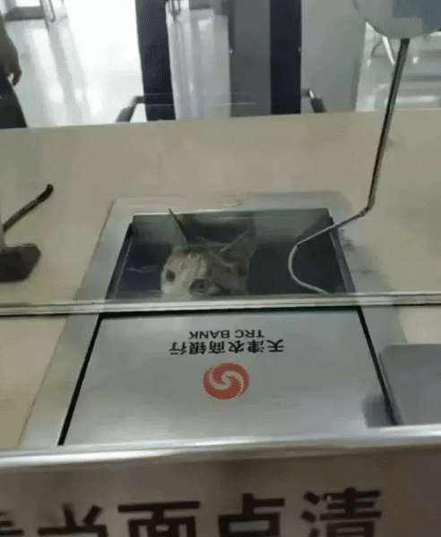 “千万不要随便发朋友圈,你永远不知道下一秒会发生什么...”哇哈哈哈~ “千万不要随便发朋友圈,你永远不知道下一秒会发生什么...”哇哈哈哈~