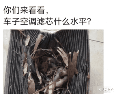 女朋友为了瘦腿买了个按摩仪,我给她试了一下,她好像很抗拒,啊哈哈哈 女朋友为了瘦腿买了个按摩仪,我给她试了一下,她好像很抗拒,啊哈哈哈