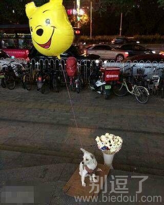 主人自己去玩了让劳资给他看摊