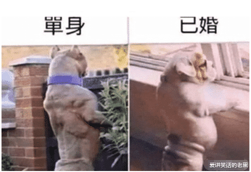 “在单位里最闲的职位到底有多闲?真是长见识了!”哈哈哈网友吐槽太现实 “在单位里最闲的职位到底有多闲?真是长见识了!”哈哈哈网友吐槽太现实