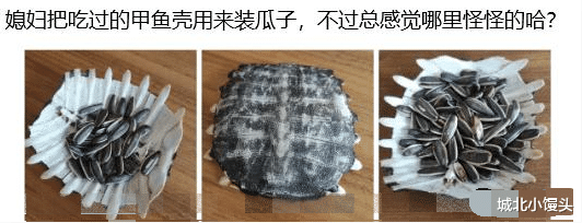 “媳妇儿把吃过的甲鱼壳用来装瓜子,不过总感觉哪里怪怪的”,哈哈哈! “媳妇儿把吃过的甲鱼壳用来装瓜子,不过总感觉哪里怪怪的”,哈哈哈!