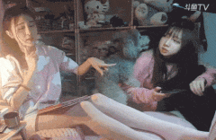 养只泰迪是一种怎样的体验