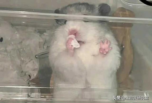 跟亲爸坦白自己喜欢男生后,结果,哈哈哈这谁顶得住 跟亲爸坦白自己喜欢男生后,结果,哈哈哈这谁顶得住