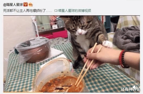 下象棋的时候,开局炮直接吃掉马是不是bug?车:我真是谢谢你了 下象棋的时候,开局炮直接吃掉马是不是bug?车:我真是谢谢你了