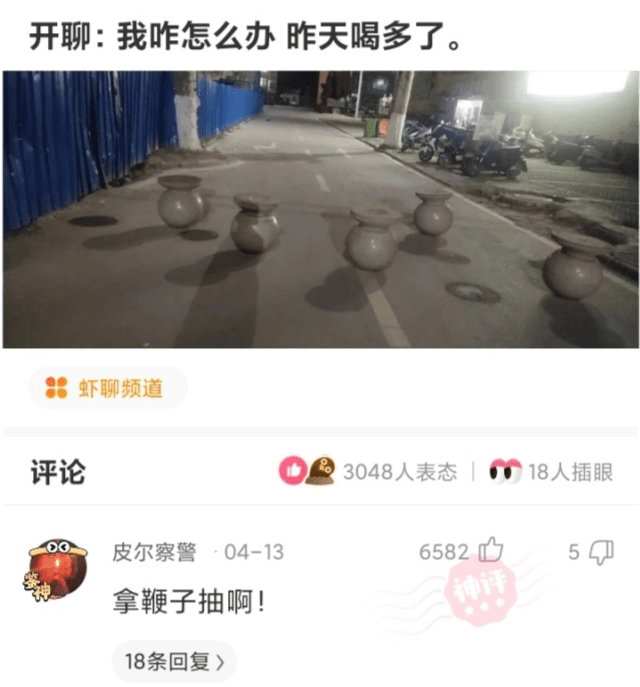 神回复：请问电是哪个地方的牌照？网友：电信一区