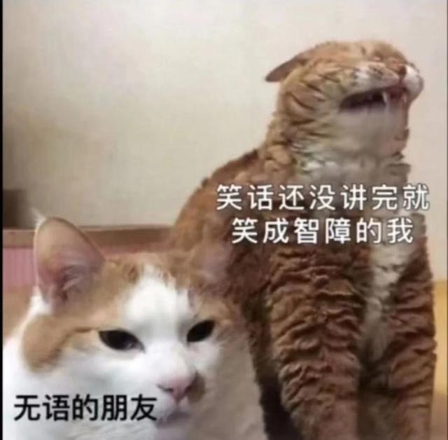 来自人间真实案例,头都笑掉了 来自人间真实案例,头都笑掉了