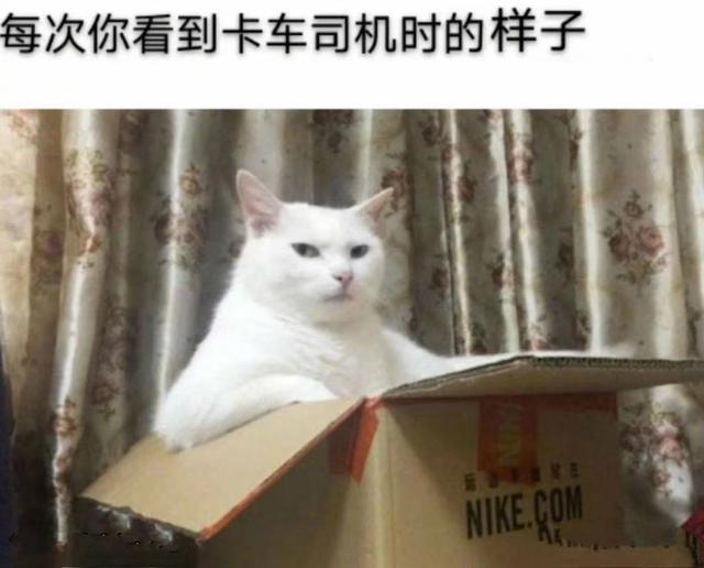来自人间真实案例,头都笑掉了 来自人间真实案例,头都笑掉了