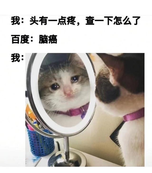 来自人间真实案例,头都笑掉了 来自人间真实案例,头都笑掉了