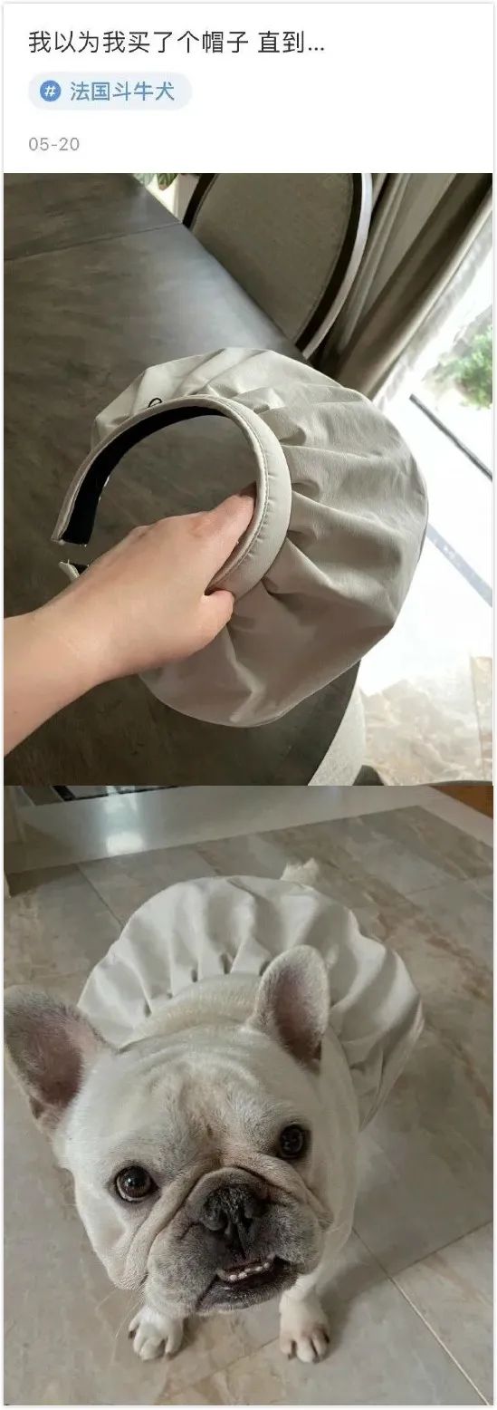 为什么打完飞机会冷? 为什么打完飞机会冷?