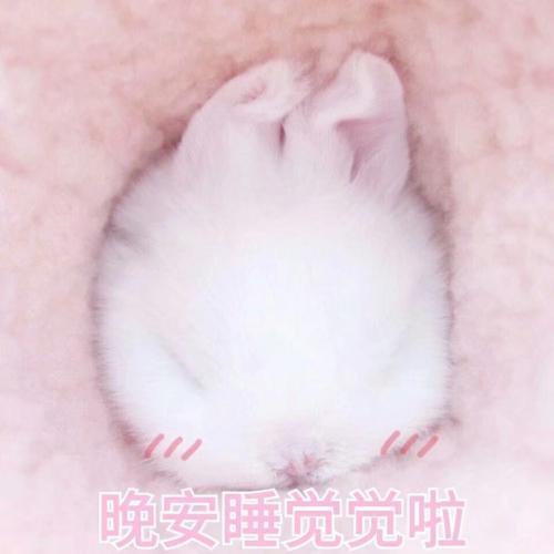 开心一刻：家里逼着相亲，看照片不太漂亮就没同意