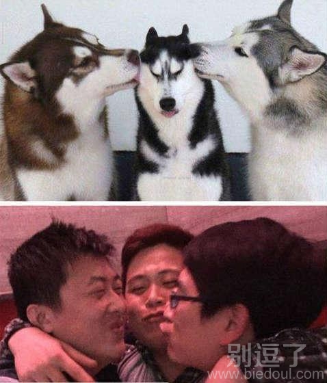 大概一个意思吧？