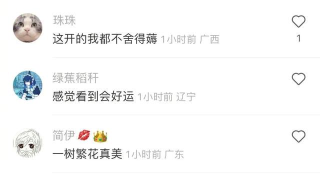 《最 伟 大 的 赝 品》| 冷段子2249 《最 伟 大 的 赝 品》| 冷段子2249