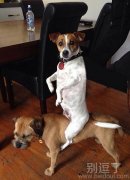 摆好照型，下面的站好了！