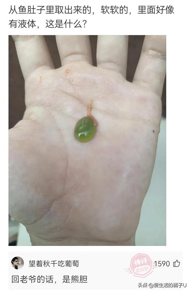 神回复:周围安上护栏的话,赢的几率至少能提高至30% 神回复:周围安上护栏的话,赢的几率至少能提高至30%