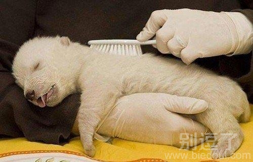 哎哟舒坦哇！