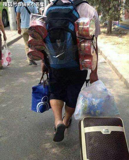 “为什么狗子爱咬我的黑丝袜？”网友：泰迪都看不下去了！哈哈哈