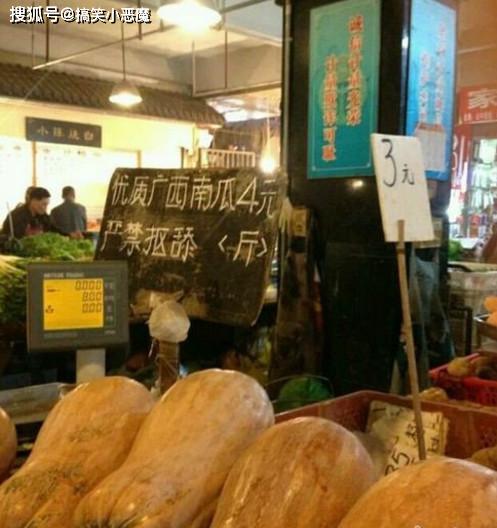 “为什么狗子爱咬我的黑丝袜？”网友：泰迪都看不下去了！哈哈哈